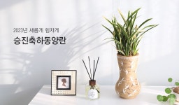 2023년 힘차게 새롭게, 승진축하 선물 이벤트 | 플라워119꽃배달서비스 [이벤트] 2023년 힘차게 새롭게, 승진축하 선물 - 플라워119꽃배달서... 