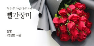 꽃배달- 플라워119꽃배달서비스 이벤트당신은 나의 아름다운 장미 플라워119 :이벤트 당신은 나의 아름다운 장미 꽃배달, 꽃선물... 