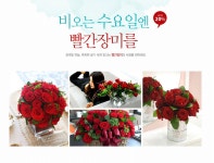 꽃배달- 플라워119꽃배달서비스 이벤트비오는 수요일엔 빨간장미를 플라워119 :이벤트 비오는 수요일엔 빨간장미를 꽃배달, 꽃선물... 