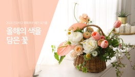 색깔을 담은 꽃들 꽃배달, 꽃선물, 전국꽃배달서비스,맞춤꽃배달,꽃, 꽃배달1위, 꽃배달서비스1위, 꽃집,맞춤꽃, 적립금, 기념일 관리, 꽃꽂이... 