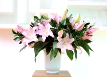 꽃배달 | 플라워119꽃배달서비스 [꽃배달] Flowers in harmony with container - Pink lilies - 플라워119
