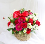 꽃바구니/레드/전국배송가능 꽃바구니 - 행복이 꽃피는 집... 꽃바구니 - 행복이 꽃피는 집 전국배송가능 꽃바구니 - 행복이 꽃피는 집 플라워119