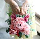 꽃바구니/스페셜/웃으면 복이와요 - 꿀꿀꿀 복돼지 꽃배달 - 플라워119꽃배달서비스 꽃바구니/스페셜/웃으면 복이와요 - 꿀꿀꿀 복돼지 웃으면... 