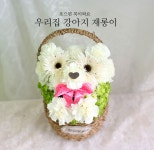 꽃바구니/스페셜/웃으면 복이와요 - 우리집 강아지 재롱이... 복이와요 - 우리집 강아지 재롱이 웃으면 복이와요 - 우리집 강아지 재롱이 플라워119