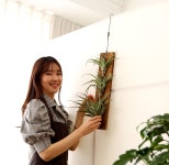 공기정화식물/식물소품/#플랜테리어 #공기정화 #홈인테리어 - 플렉스오사 비비파라 꽃배달 - 플라워119꽃배달서비스 공기정화식물/식물소품... 