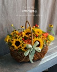 꽃바구니/노랑/어느새 가을 - 너의 가을에 꽃배달 - 플라워119꽃배달서비스 꽃바구니/노랑/어느새 가을 - 너의 가을에 어느새 가을 - 너의... 
