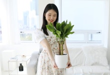 유리병속작은뜰황금정원 | [내 책상 위의 작은 정원] - 황금죽 꽃배달 | 플라워119꽃배달서비스 [꽃배달] [내 책상 위의 작은 정원] - 황금죽 - 플라워119