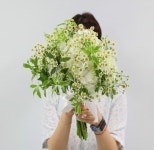 꽃다발/화이트/Scent of Summer - 들꽃향기 꽃배달... 꽃다발/화이트/Scent of Summer - 들꽃향기 Scent of Summer - 들꽃향기 플라워119