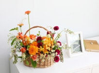 바람, 햇살 그리고 사랑 꽃배달 - 플라워119꽃배달서비스 꽃바구니/레드/별, 바람, 햇살 그리고 사랑 별, 바람, 햇살 그리고 사랑 플라워119