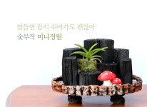 공기정화식물/숯부작/심플한 숯부작 미니정원 꽃배달 - 플라워119꽃배달서비스 공기정화식물/숯부작/심플한 숯부작 미니정원 심플한 숯부작... 