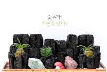 공기정화식물/석.도부작/공기정화탁월한 숯부작 자연을 담다2 꽃배달 - 플라워119꽃배달서비스 공기정화식물/석.도부작/공기정화탁월한... 