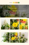 꽃다발/노랑/황금빛 사랑의 선물 꽃배달 - 플라워119꽃배달서비스 꽃다발/노랑/황금빛 사랑의 선물 황금빛 사랑의 선물 플라워119