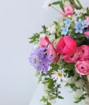 For Someone So Dear 꽃배달 | 플라워119꽃배달서비스 [꽃배달] For Someone So Dear - 플라워119