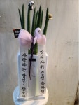 서울특별시강서구 꽃배달, 서울특별시강서구 꽃집, 서울특별시 강서구 공항대로41길 51 꽃집, 108호(등촌동) 꽃집, 서울특별시 강서구... 