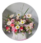 전북특별자치도전주시 덕진구 꽃배달, 전북특별자치도전주시 덕진구 꽃집, 전북특별자치도 전주시 덕진구 견훤로 257 꽃집, 435-29(인후동1가)... 