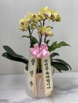 인천광역시남동구 꽃배달, 인천광역시남동구 꽃집, 인천광역시 남동구 매소홀로 816 꽃집, (구월동) 꽃집, 인천광역시 남동구 매소홀로 816... 
