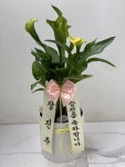 인천광역시남동구 꽃배달, 인천광역시남동구 꽃집, 인천광역시 남동구 매소홀로 816 꽃집, (구월동) 꽃집, 인천광역시 남동구 매소홀로 816... 