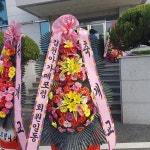 경상북도김천시 꽃배달 · 꽃집 - 김천좋은날 | 플라워119 경상북도김천시 꽃배달 - 김천좋은날 | 플라워119