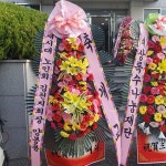 경상북도김천시 꽃배달 · 꽃집 - 김천좋은날 | 플라워119 경상북도김천시 꽃배달 - 김천좋은날 | 플라워119