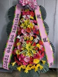충청북도충주시 꽃배달 · 꽃집 - 일등플라워 | 플라워119꽃배달서비스 충청북도충주시 꽃배달 - 일등플라워