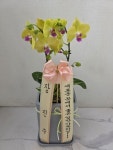 인천광역시남동구 꽃배달, 인천광역시남동구 꽃집, 인천광역시 남동구 매소홀로 816 꽃집, (구월동) 꽃집, 인천광역시 남동구 매소홀로 816... 