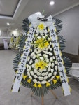 대전광역시중구 꽃배달 · 꽃집 - 푸른꽃도매 | 플라워119꽃배달서비스 대전광역시중구 꽃배달 - 푸른꽃도매