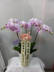 경상북도경산시 꽃배달 · 꽃집 - 경산상일플라워 | 플라워119꽃배달서비스 경상북도경산시 꽃배달 - 경산상일플라워