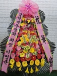 경기도평택시 꽃배달 · 꽃집 - 서울꽃도매 | 플라워119꽃배달서비스 경기도평택시 꽃배달 - 서울꽃도매