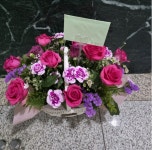 꽃바구니/핑크/[전국]봄빛 한바구니 (바구니 변경) 꽃배달 - 플라워119꽃배달서비스 꽃바구니/핑크/[전국]봄빛 한바구니 (바구니 변경) [전국]... 