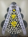 대전광역시유성구 꽃배달 · 꽃집 - 굿모닝플라워 | 플라워119꽃배달서비스 대전광역시유성구 꽃배달 - 굿모닝플라워