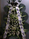 꽃소식플라워, 대전광역시서구 꽃배달 - 플라워119꽃배달서비스 - 카테고리 꽃다발 , 꽃배달, 꽃선물, 전국꽃배달서비스,맞춤꽃배달,꽃, 꽃집... 