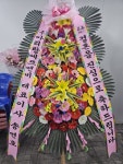 플라워119본부, 서울특별시서초구 꽃배달 - 플라워119꽃배달서비스 - 카테고리 꽃다발 , 꽃배달, 꽃선물, 전국꽃배달서비스,맞춤꽃배달,꽃, 꽃집... 
