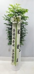 서울특별시서초구 꽃배달 · 꽃집 - 오성농원 | 플라워119 서울특별시서초구 꽃배달 - 오성농원 | 플라워119