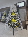 강남대로 27 꽃집, 양재 화훼공판장 본관 2층 12-11(양재동) 꽃집, 서울특별시 서초구 강남대로 27 꽃배달, 양재 화훼공판장 본관 2층 12-11(양재동)... 