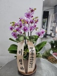 꽃배달 - 플라워119꽃배달서비스 플라워119꽃배달서비스 