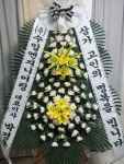 중매1228경원꽃집 | 경상남도창원시 성산구 꽃배달 · 꽃집 - 플로라 인 농협화훼1호중매인 | 플라워119꽃배달서비스 경상남도창원시 성산구 꽃배달 - 플로라 인...