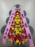 대전광역시유성구 꽃배달 · 꽃집 - 굿모닝플라워 | 플라워119꽃배달서비스 대전광역시유성구 꽃배달 - 굿모닝플라워