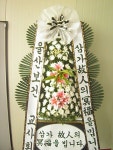 경상남도진주시 꽃배달 · 꽃집 - 보타니카(진주) | 플라워119 경상남도진주시 꽃배달 - 보타니카(진주) | 플라워119