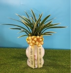 - 플라워119 명품동양란 일월관 꽃배달... - 플라워119 명품동양란 일월관 보내시는분의 품격!! - 플라워119 명품동양란 일월관 플라워119