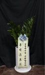 관엽화분/1m이하/잠시만요! 울사장님 돈방석 받고 가실게요 - 금전수 꽃배달 - 플라워119꽃배달서비스 관엽화분/1m이하/잠시만요! 울사장님... 