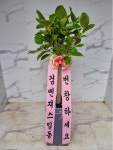꽃배달 - 플라워119꽃배달서비스 플라워119꽃배달서비스 