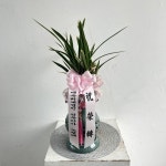 동양란/명품동양란/존경의 마음을 담은 동양란 - 잎이 무늬가 있는 황룡금(청투각) 꽃배달 - 플라워119꽃배달서비스 동양란/명품동양란/존경의... 