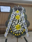 대전광역시중구 꽃배달 · 꽃집 - 푸른꽃도매 | 플라워119꽃배달서비스 대전광역시중구 꽃배달 - 푸른꽃도매
