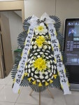 대전광역시중구 꽃배달 · 꽃집 - 푸른꽃도매 | 플라워119꽃배달서비스 대전광역시중구 꽃배달 - 푸른꽃도매
