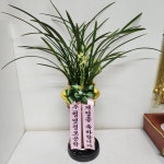 경기도화성시 꽃배달, 경기도화성시 꽃집, 경기도 화성시 봉담읍 삼천병마로 818 꽃집, 한백화훼유통 꽃집, 경기도 화성시 봉담읍 삼천병마로 818... 