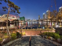 석촌호수 다음주쯤 ㄷㄷ일듯 - 에펨네이션