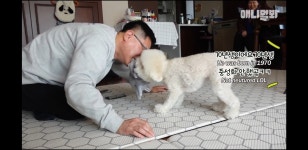 동물농장보다가 웃겨서 - 에펨네이션