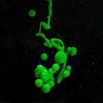 녹색 갈증 해소제 사진 - 무료 고품질 사진 다운로드 | Freepik