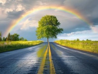 5 페이지 | 새로운 길 사진 - 무료 고품질 사진 다운로드 | Freepik