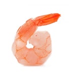 Shrimp | Free Photo